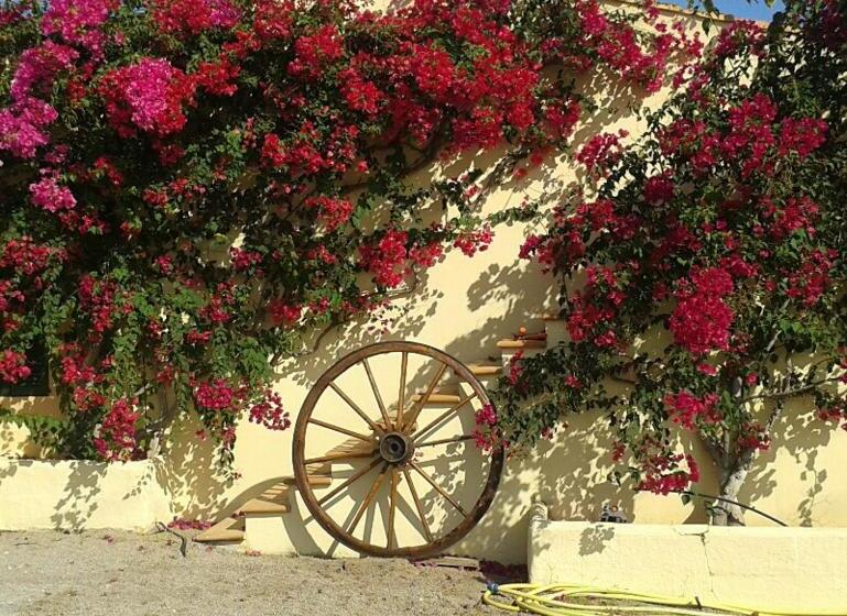 Hotel Agroturisme S  Horta