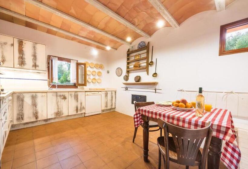 Hotel Agroturisme S  Horta