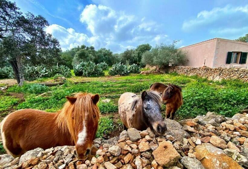 هتل Finca Agroturismo Sa Cova Den Borino