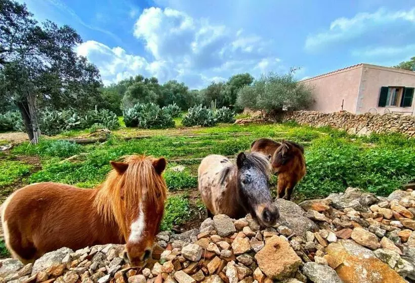 Hotelli Finca Agroturismo Sa Cova Den Borino