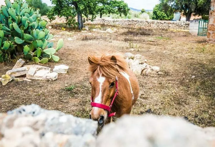 Hotelli Finca Agroturismo Sa Cova Den Borino