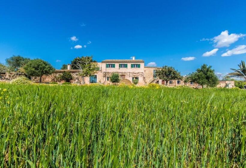 هتل Finca Agroturismo Sa Cova Den Borino