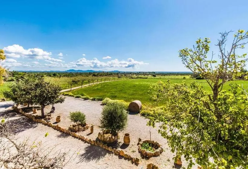Hotelli Finca Agroturismo Sa Cova Den Borino