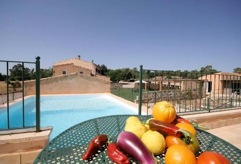 Hotelli Finca Agroturismo Sa Cova Den Borino