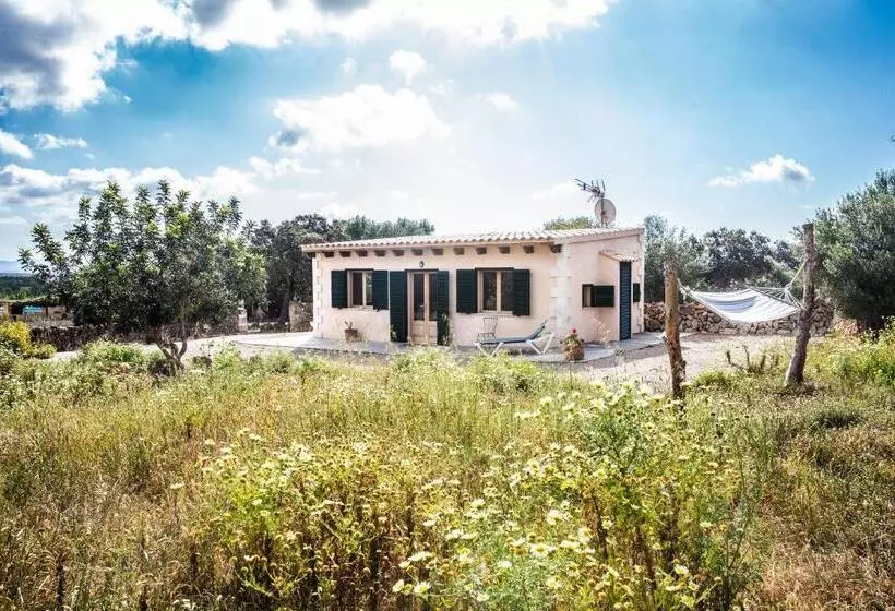 Hotelli Finca Agroturismo Sa Cova Den Borino