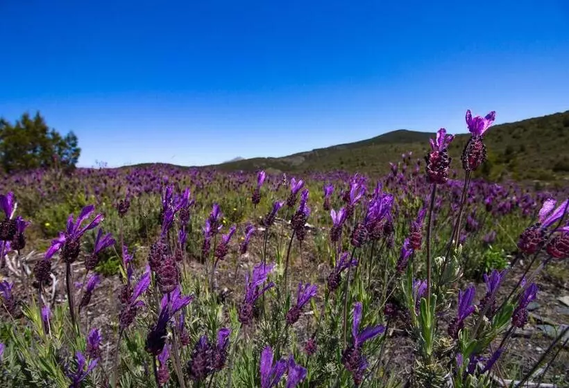 Majatalo El Pajar Negro