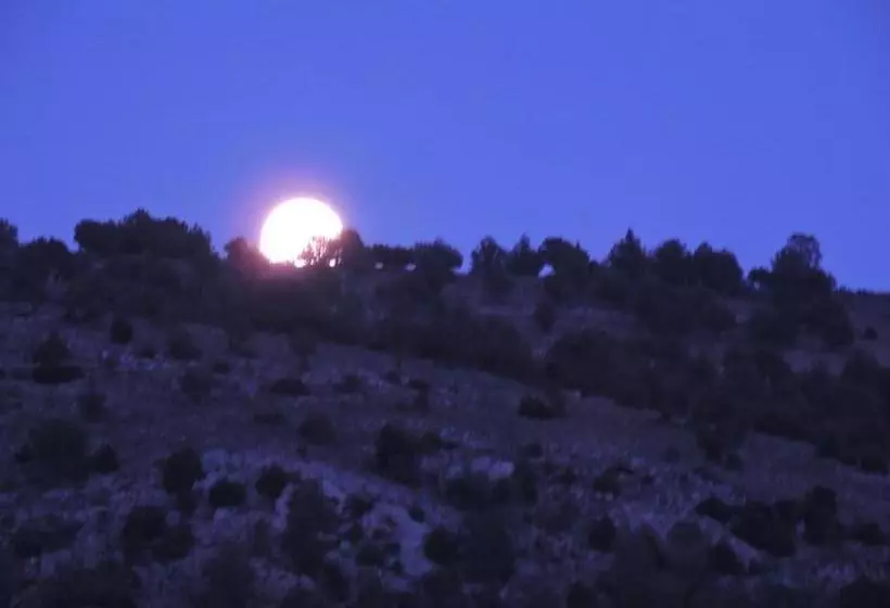 پانسیون Royuela Hostal