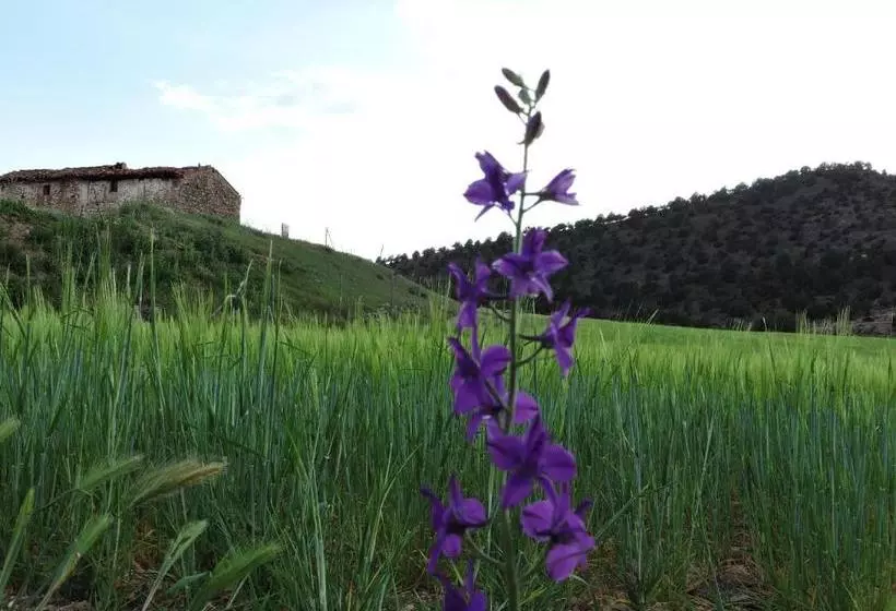 پانسیون Royuela Hostal