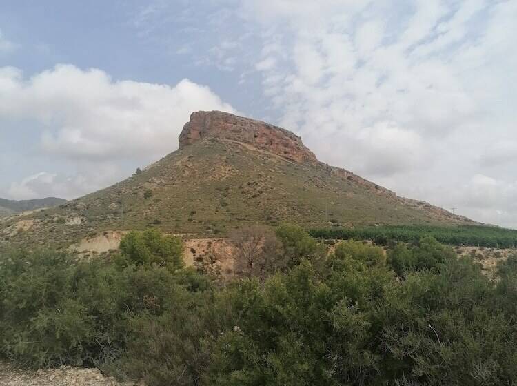 The Olive Mill Apart