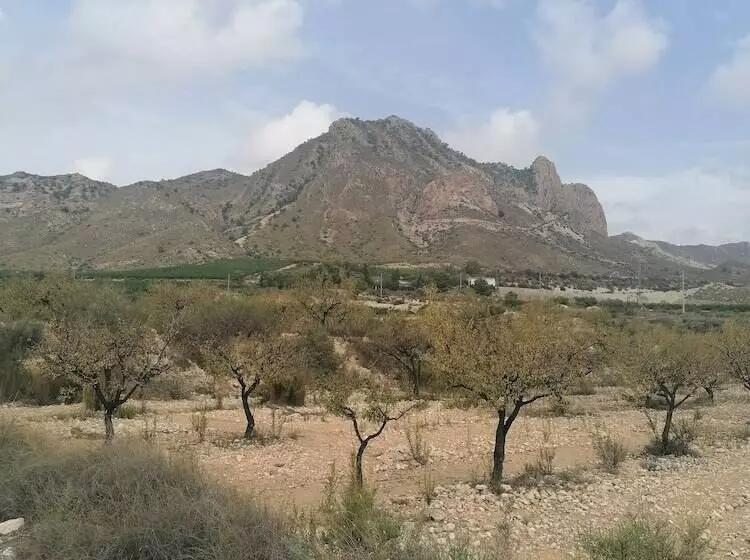 The Olive Mill Apart