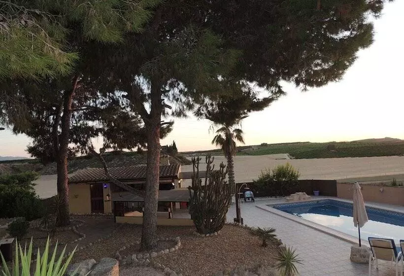 The Olive Mill Apart