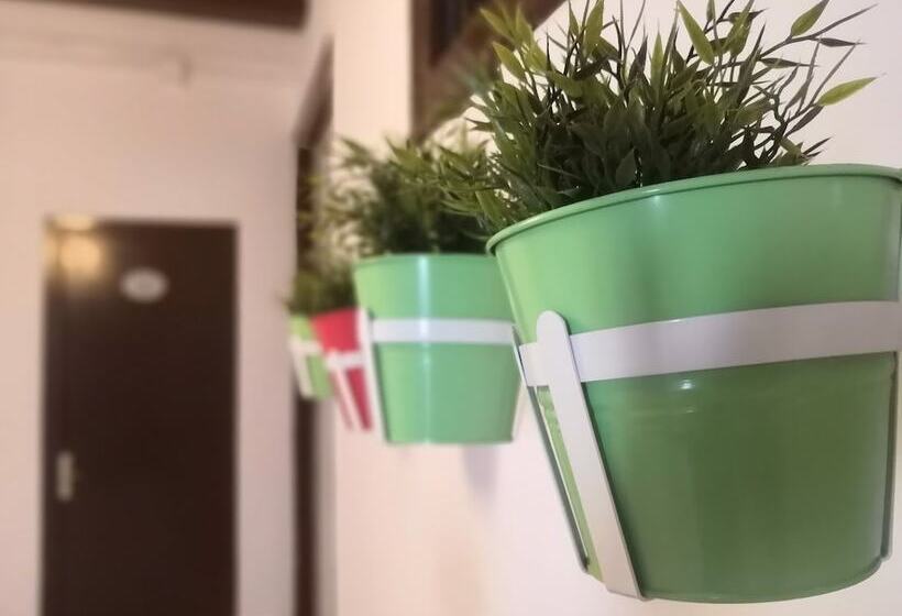 پانسیون Hostal Dragonflybcn