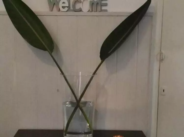 Majatalo Hostal Dragonflybcn