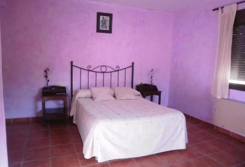 پانسیون Hostal El Olmo