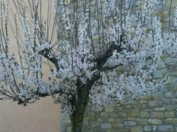 ペンション La Calma De Bellver