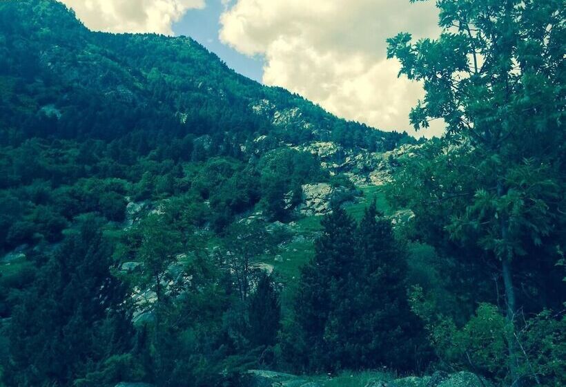 ペンション La Calma De Bellver