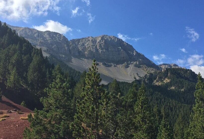 ペンション La Calma De Bellver