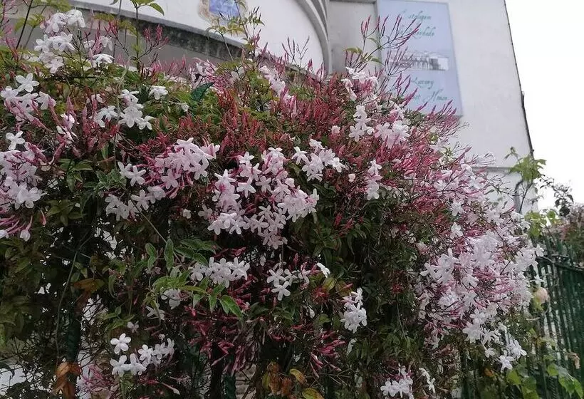 پانسیون Estalagem Da Liberdade