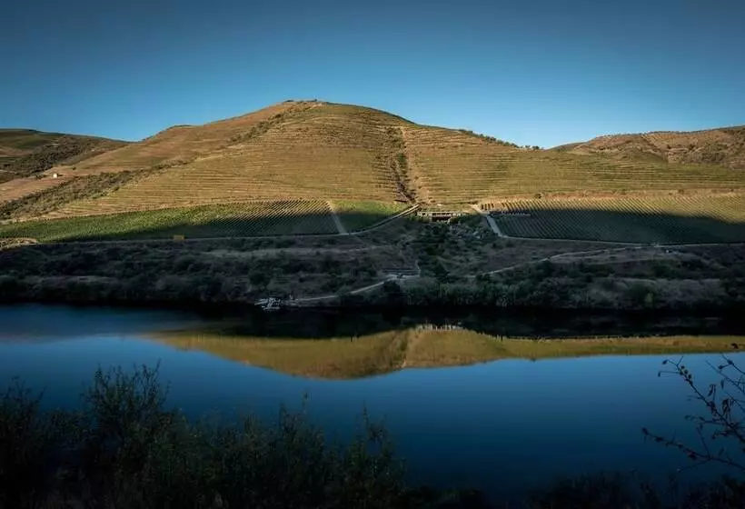 Casa Do Rio   Douro Wine Hotel By Vallado