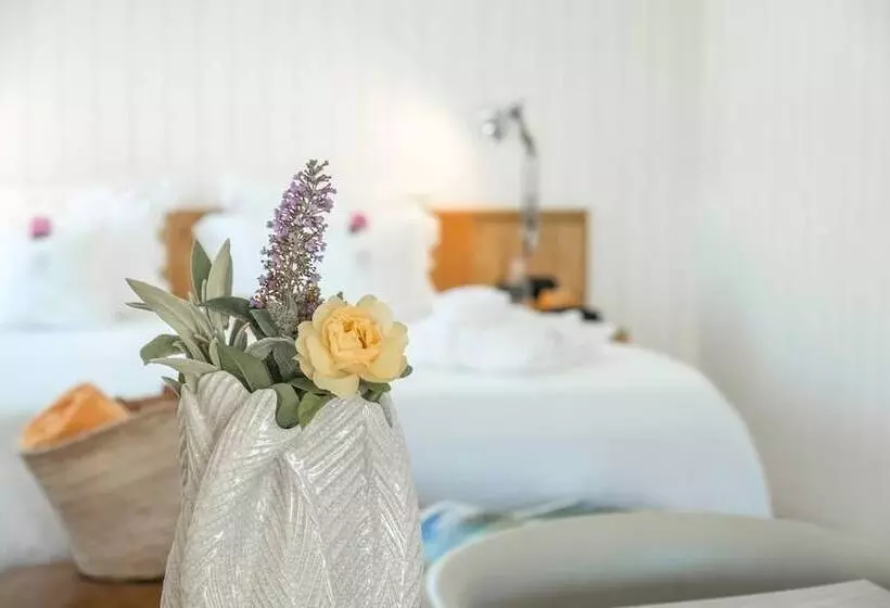Casa Do Rio   Douro Wine Hotel By Vallado