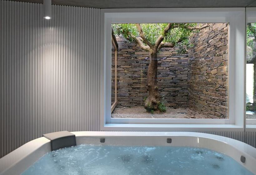 Casa Do Rio   Douro Wine Hotel By Vallado