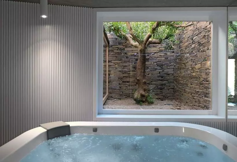 Casa Do Rio   Douro Wine Hotel By Vallado