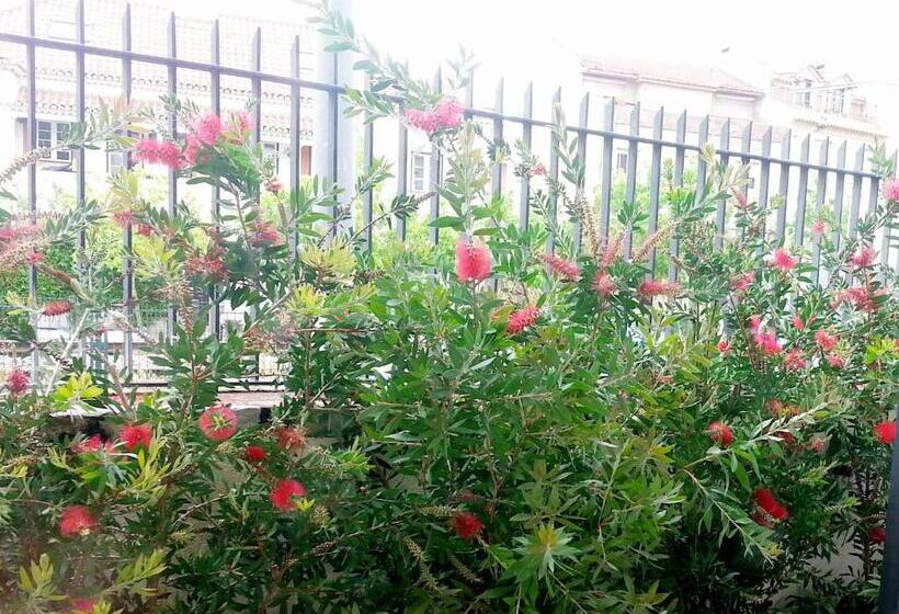 پانسیون Bonvalot Guest House