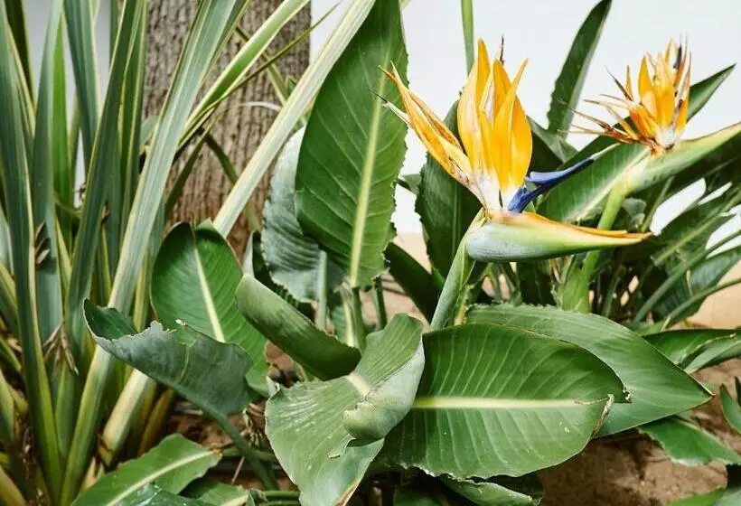 Majatalo Bonvalot Guest House