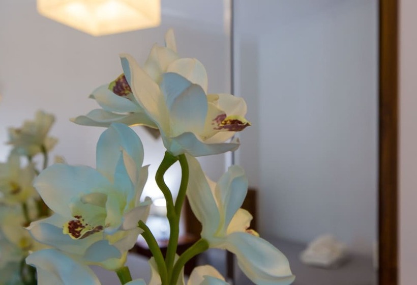 بنسيون Hospedaria Os Condes