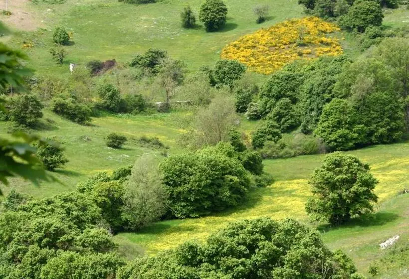 ホテル Agriturismo La Guinza
