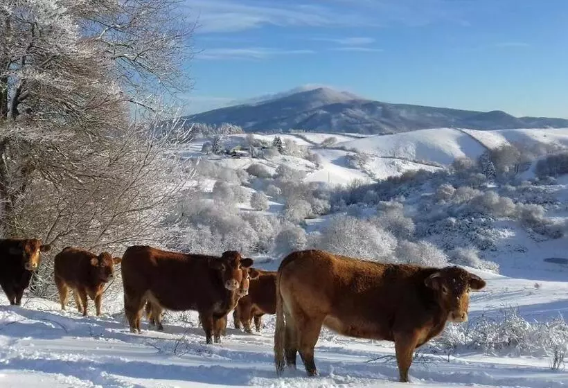 ホテル Agriturismo La Guinza