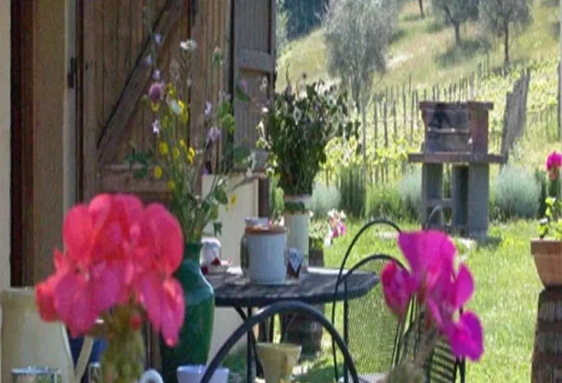 هتل Agriturismo Il Trebbio