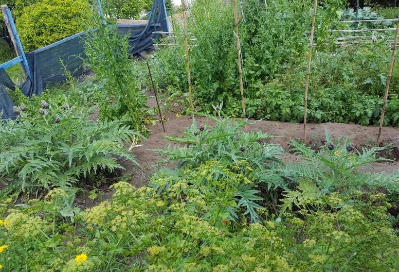 Hotel Agriturismo Solemare