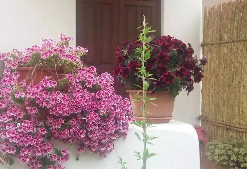 ホテル Agriturismo Solemare