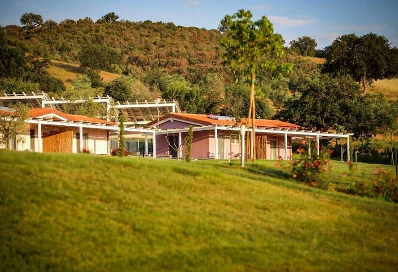 בית מלון כפרי Podere N°8 Agriturismo In Maremma