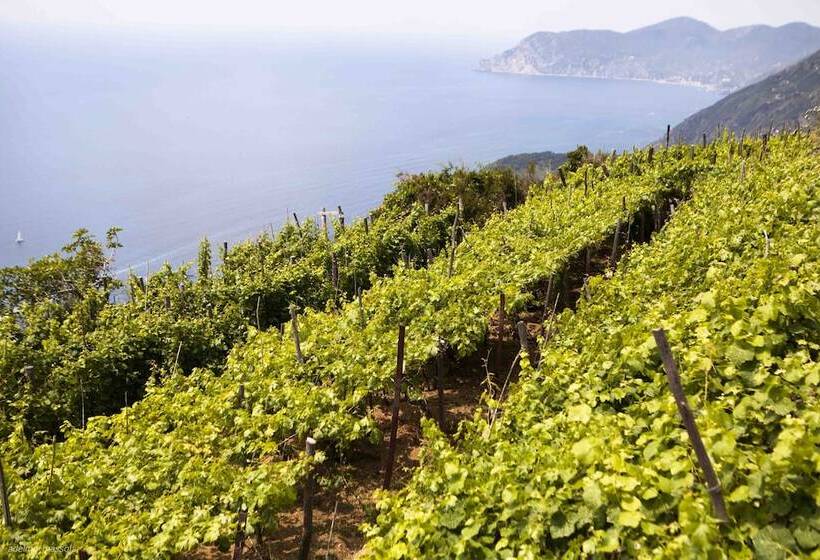 ホテル La Sosta Di Ottone Iii