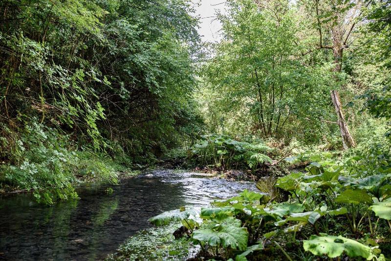 Отель La Tenuta  Resort Agricolo