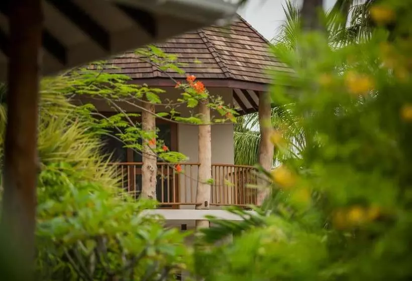 هتل Les Lauriers Eco