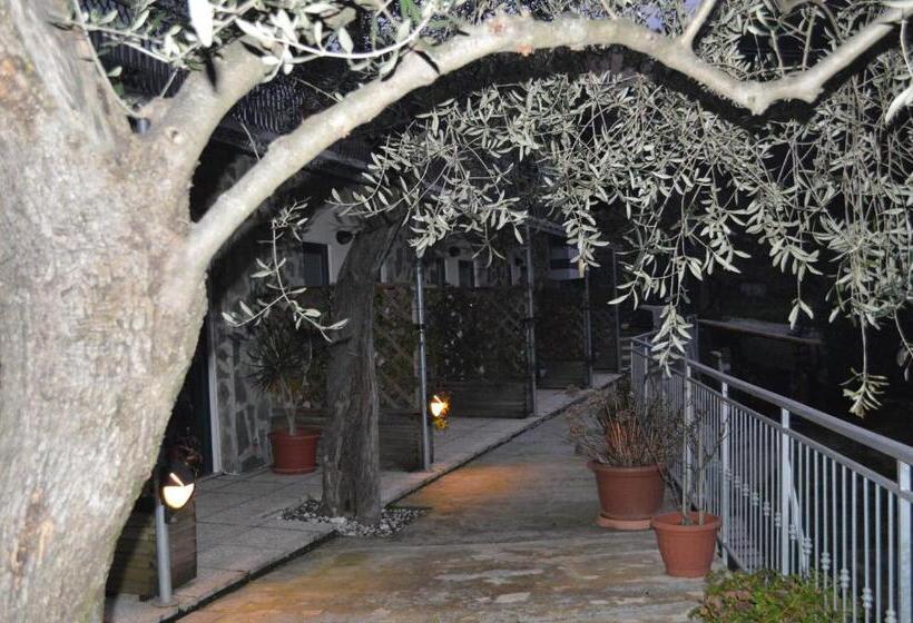 ペンション Affittacamere Arabafenice