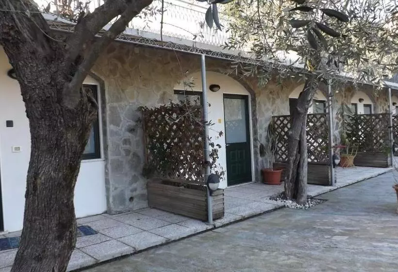 Pensione Affittacamere Arabafenice