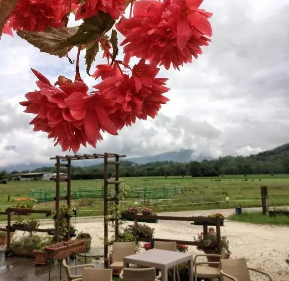 ホテル Agriturismo San Floreano