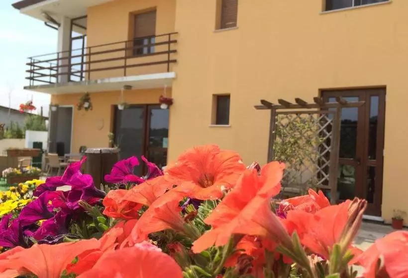 ホテル Agriturismo San Floreano
