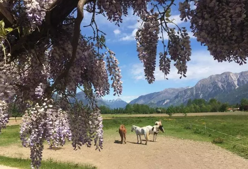 ホテル Agriturismo San Floreano