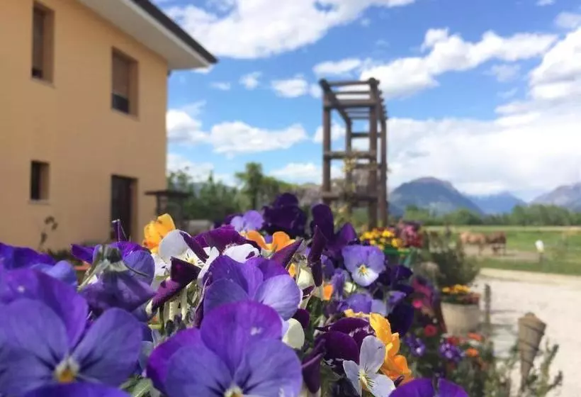 ホテル Agriturismo San Floreano