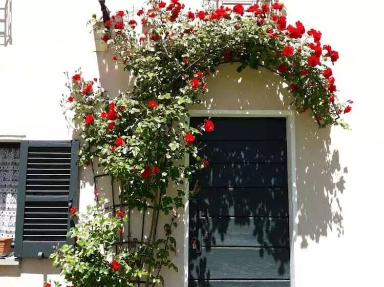 Hotelli Ca' Le Suore