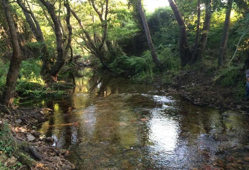 ホテル Agriturismo Campesi Casale Tra Le Vigne