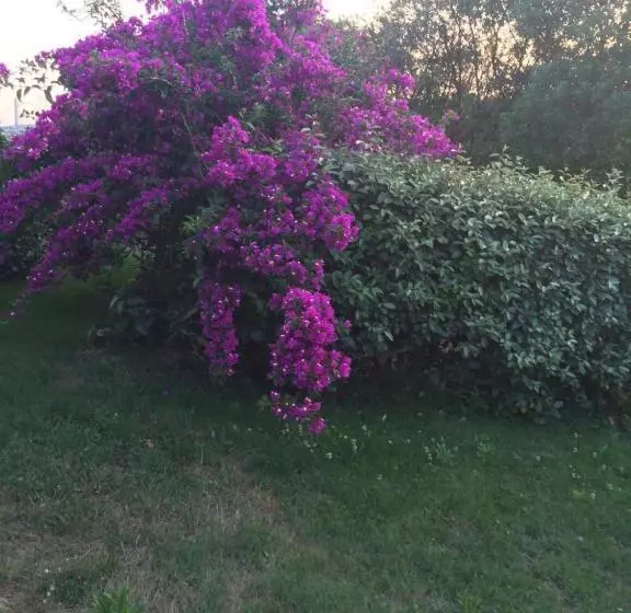 هتل Agriturismo Campesi Casale Tra Le Vigne