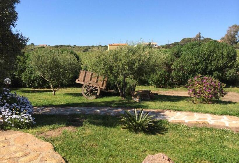 ホテル Agriturismo Campesi Casale Tra Le Vigne