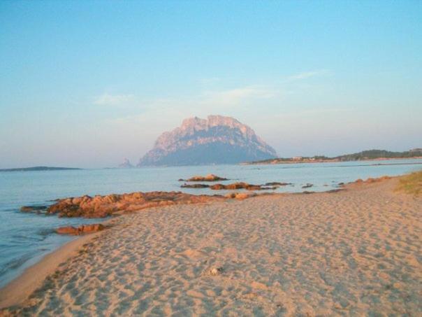 펜션 La Locanda Di Gavina Braccu