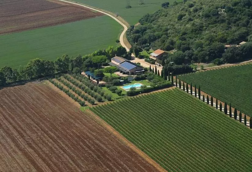Hotelli Agriturismo Fattoria Il Casalone